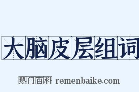 大脑皮层组词是什么意思的图片